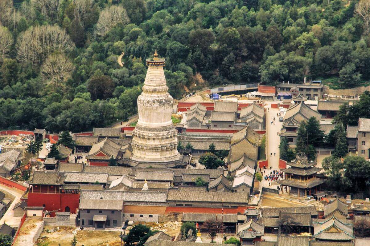 山西面食制作全攻略，一步步学会山西面食的美味之道