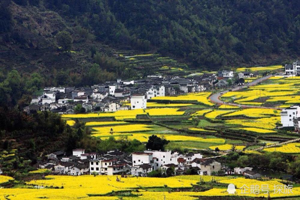 江西,一段演员的深情告白