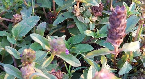 云南之韵，探索自然与文化的和谐共生