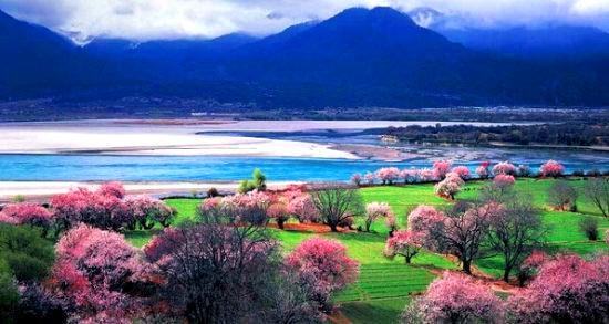 西藏之旅，灵魂的净土之旅