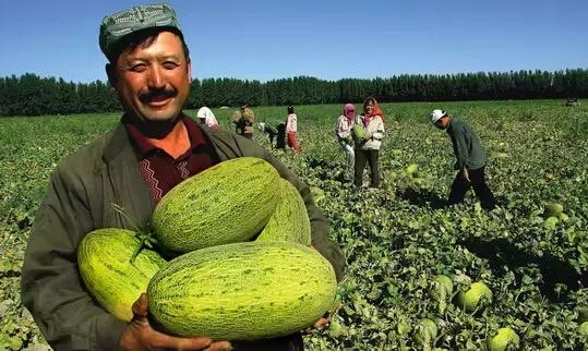 新疆,向尊敬的听众朋友们致意