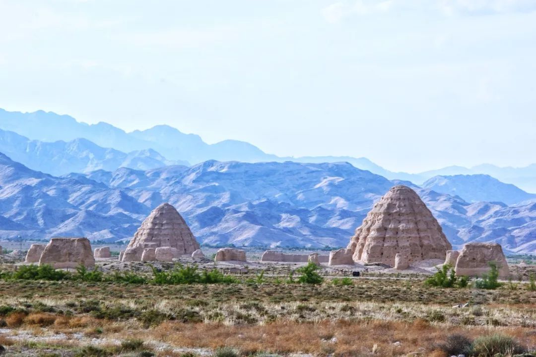 探寻宁夏,邂逅最温柔的西域风情花海
