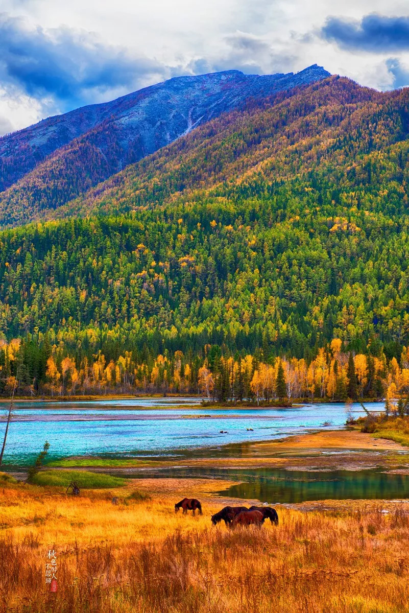 丝路明珠映新疆，多元文化瑰宝之旅