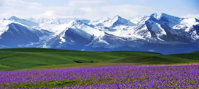 丝路明珠映新疆,多元文化瑰宝之旅