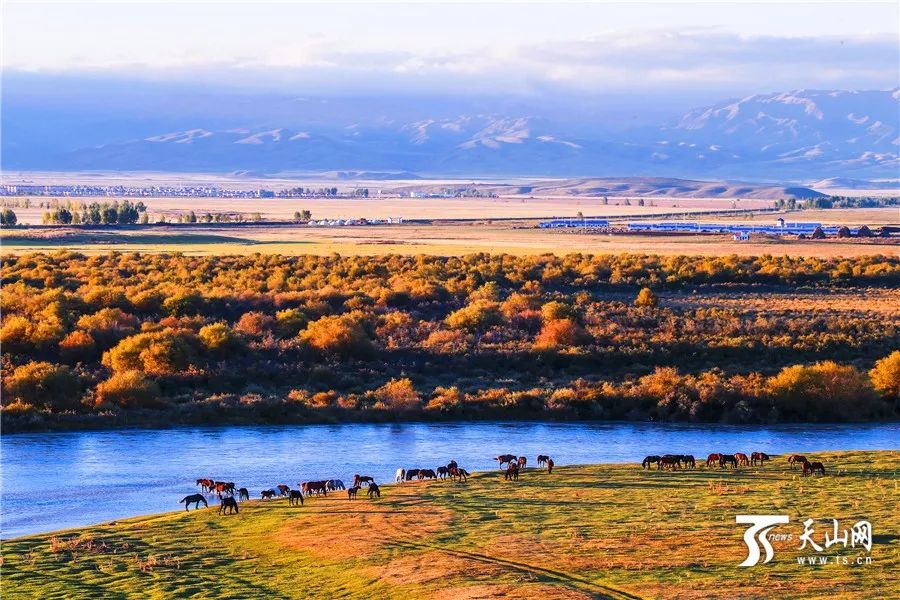 丝路明珠映新疆,多元文化瑰宝之旅