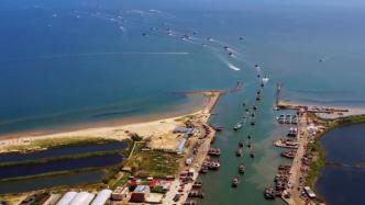 秦皇岛智造先锋，秦皇岛引领未来生活的高科技新宠